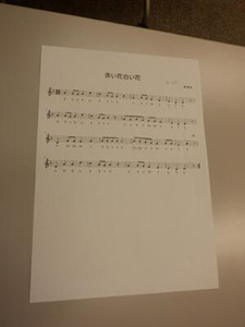 画像16