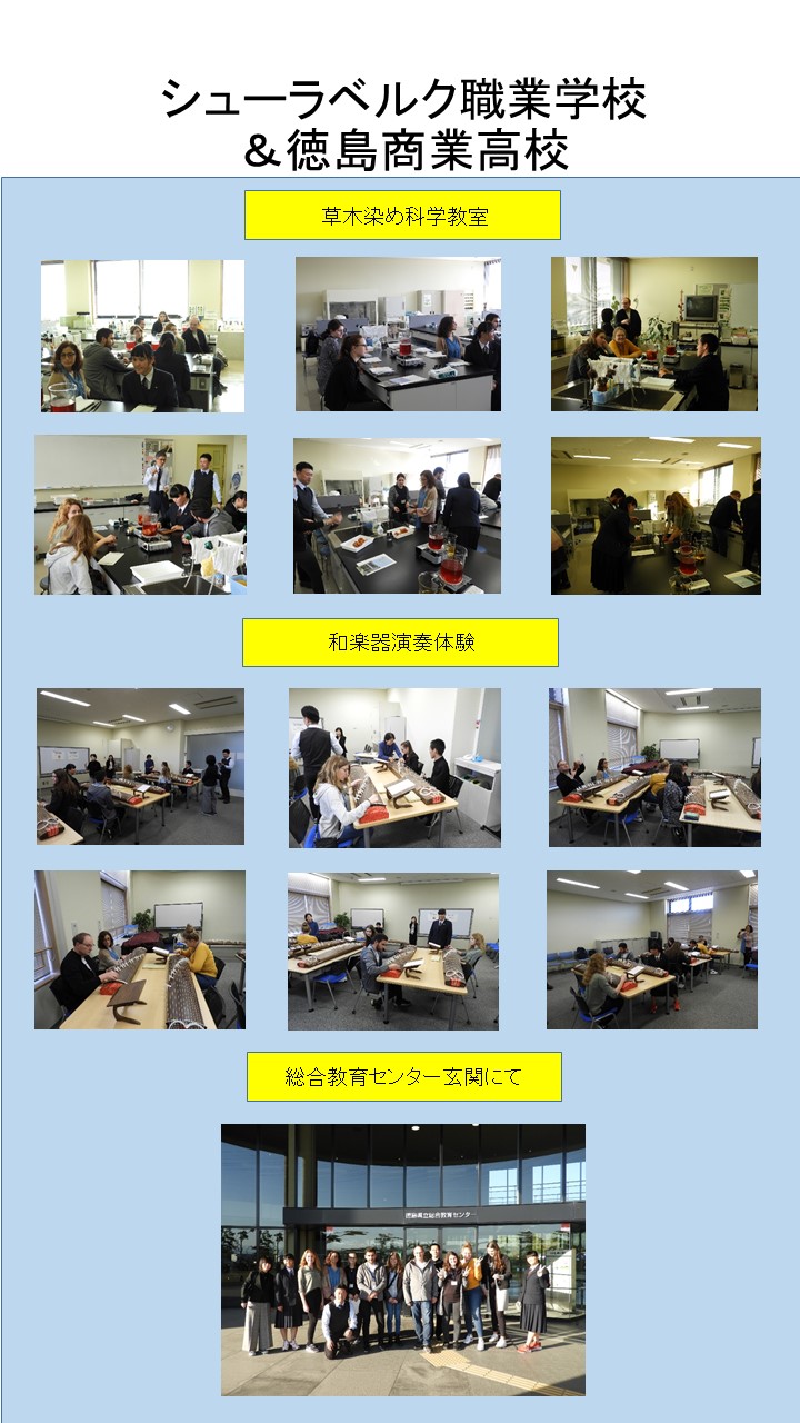国際交流支援プログラムR1-2徳商HP