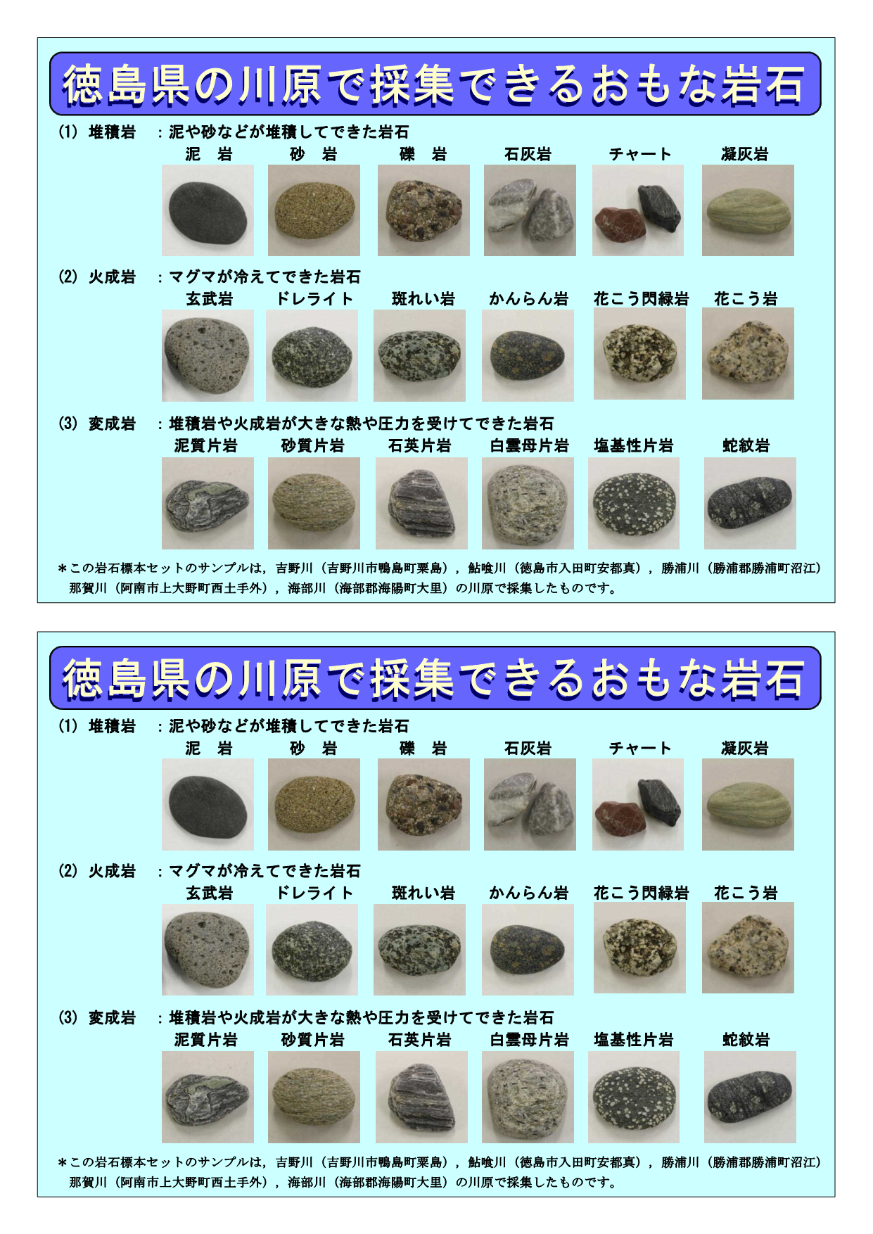標本箱（解説）